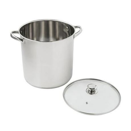 Mainstays Stainless Steel 12-Quart Stock Pot with Glass Lid