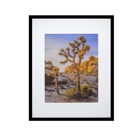 Art Emotion Black 16x20 Picture Frame – Fits 11x14 Photos with Mat or 16x20