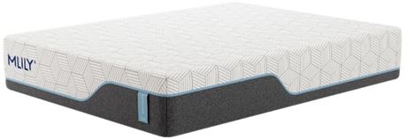 MLILY® Harmony Chill 3.0 13" Memory Foam Plush Tight Top Queen Mattress in a Box