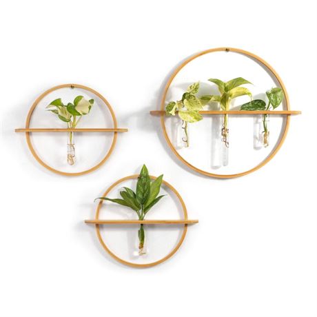 Propagation Stations - Set of 3 Bamboo Wall Planters for Indoor Plants |