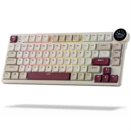 RK ROYAL KLUDGE N80 Low Profile Mechanical Keyboard w/Smart Display Screen &