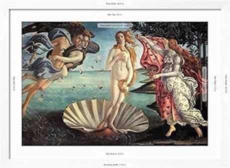 On a canvas birth of Venus