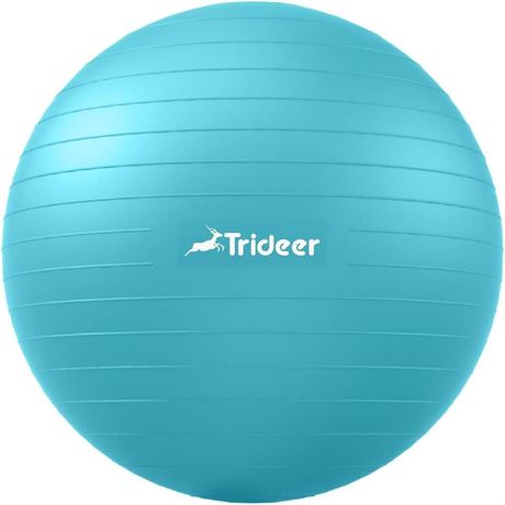 Trideer Yoga Ball Exercise Ball for Working Out, 5 Sizes Gym Ball, Birthing