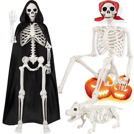 5.4ft Skeleton Halloween Decor, Life Full Size Posable Skeleton with Skeleton