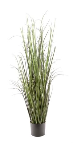 Artificial 47 in. Grass Indoor and Outdoor Indoor Plants