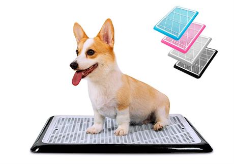 Pet Awesome Dog Potty Tray/Puppy Pee Pad Holder Indoor Wee Training for Small