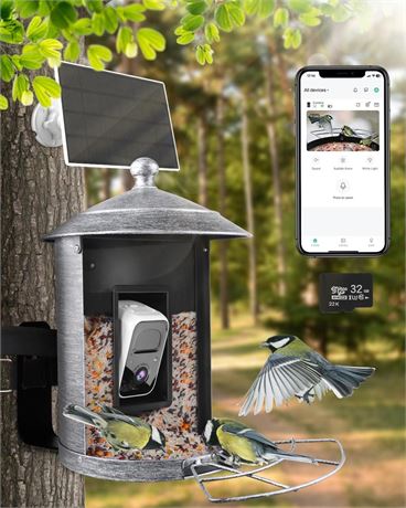 Smart Solar Bird Feeder with Camera, Silver Metal, 160°Wide Angle, Auto Capture