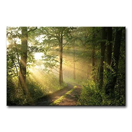 Forest Wall Art Nature Modern Canvas Painting The Picture for Home Decoration