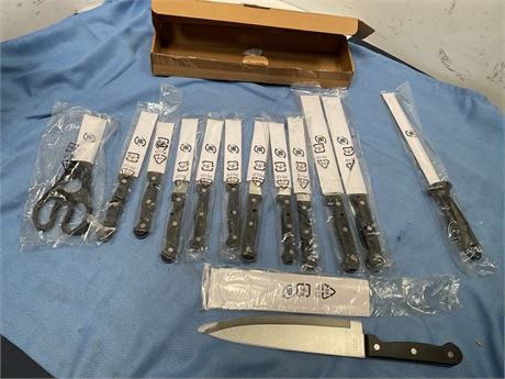 13- piece kitchen knife set featuring stainless steel cutlery,