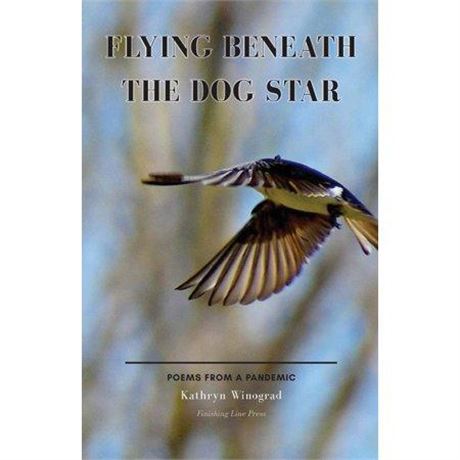 Flying Beneath the Dog Star: Poems from a Pandemic (Paperback)