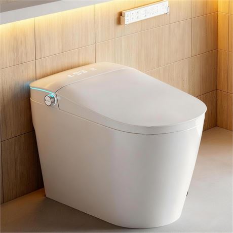 Smart Toilet with Bidet Built in, Bidet Toilet with Heated Seat and Night