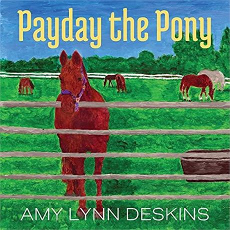 Payday the Pony (Paperback)