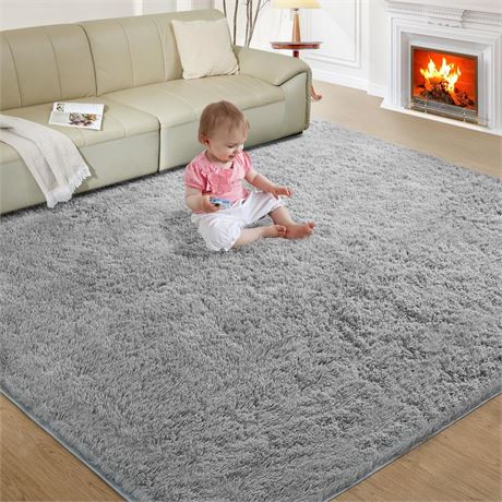 Ultra Soft Rug for Living Room, 5X8 Fluffy Shag Area Rug for Bedroom, Modern