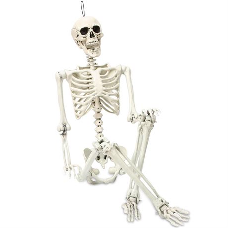 5.4 ft Posable Halloween Skeleton Decorations,Human Bones for Halloween Party