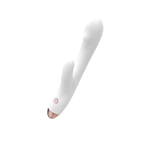 Rabbit Vibrator Thrusting Dildo for Women, Adult Toys Control Function Vibrator