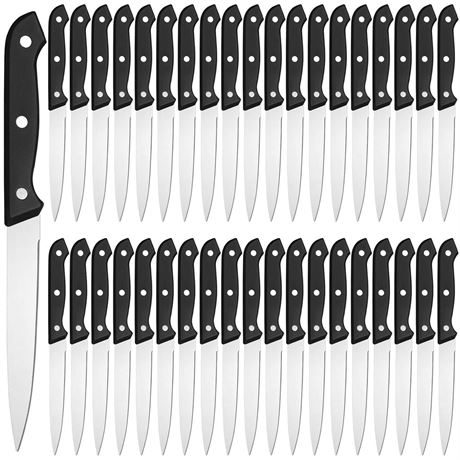 Lasnten 50 Pcs 8.67 Inches Fine Edge Steak Knife Set Stainless Steel Non