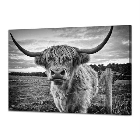 Highland Cow Wall Art Animals Poster Black and White Framed Nature Prints Large