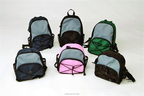 Arctic Backpack 17” Bungee Card Comfort Padding Side Mesh Pocket