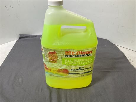 Mr. Clean all purpose gallon