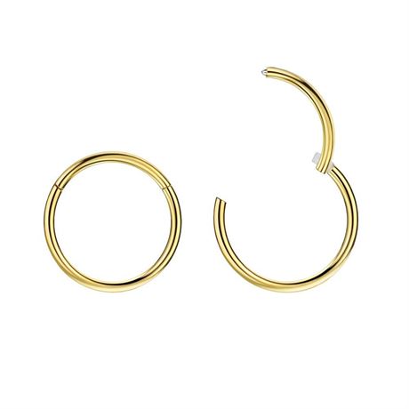 FANSING Nose Hoop 2 Pieces Surgical Steel Nose Rings for Women Cartilage