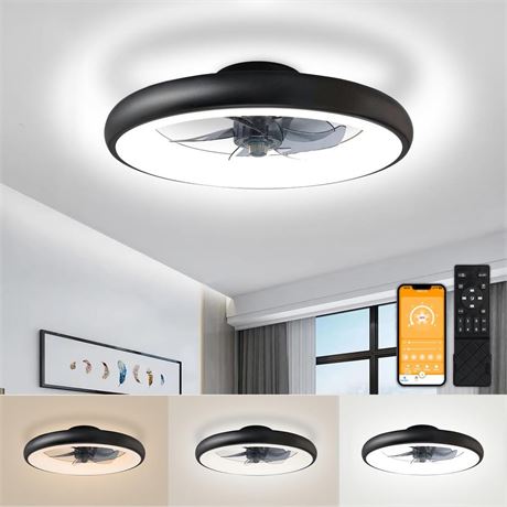 Low Profile Ceiling Fan with Lights: 20" Flush Mount Ceiling Fan with Lights