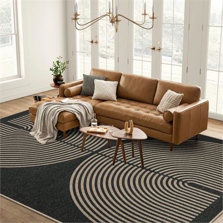 Lahome Modern Rainbow Easy Jute Rug, 8x10 Living Room Rug Indoor Outdoor Patio