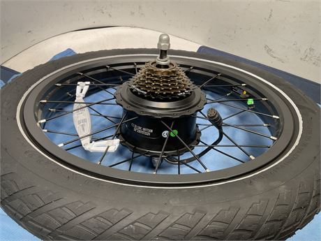 This is a 48V 750W rear hub motor wheel, often used for fat tire electric bikes