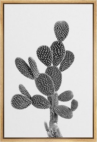 SIGNWIN Framed Canvas Print Wall Art Black White Gray Prickly Pear Desert