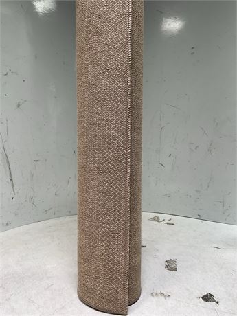 4FT X 6FT AREA RUG
