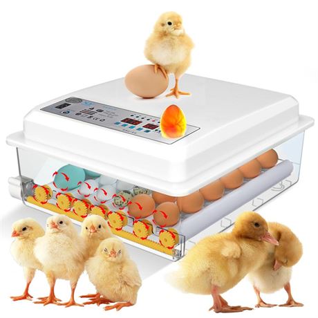 Incubator for chicken Eggs, 24-36 Egg incubator with automatic Egg turning and