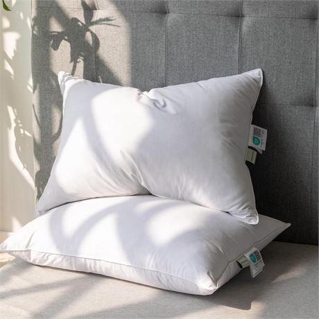 Alanzimo Goose Feather Down Pillows Queen Size Set of 2, Luxury Soft Feather