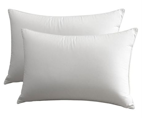 White Queen Pillow Cases Set of 2, Breathable, Super Soft,Luxury Bed Pillow
