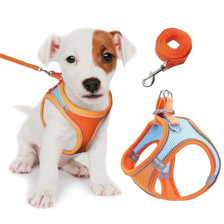 GOUWAN Dog Harness and Leash, Puppy Harness for Small Dogs Cats, No Pull Pet