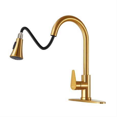 Rainovo Kitchen Faucet with Pull Down Sprayer Brushed Gold, 3 Hole Kitchen Sink