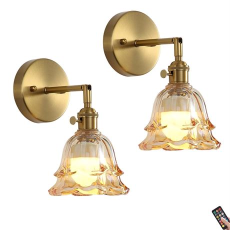 2 Pack Vintage Battery Operated Wall Sconces, Rose Amber Lampshade & 180 Degree