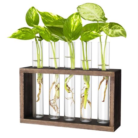 OFFSITE Ivolador Wall Mounted Hanging Plants Test Tube Flower Bud Tabletop