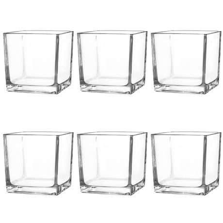 Set of 6 Square Glass Vases 4" x 4" x 4", Clear Flower Vase, Plant Terrarium,