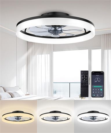 Ceiling Fans with Lights and Remote, 20" Fandelier Ceiling Fan Flush Mount,