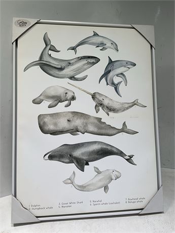 Gallery Kids Under the Sea Floating Framed Canvas Wall Art
