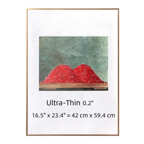 A2 Picture Frame Ultra-Thin Aluminum Alloy Photo Poster Frame Display Pictures