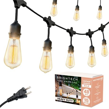 Brightech Ambience Pro Incandescent Outdoor String Lights - 50 Ft Dimmable