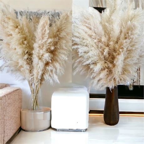 40" inch 25 Stems Natural Dried Pampas Grass – Tall, Large and Fluffy, No