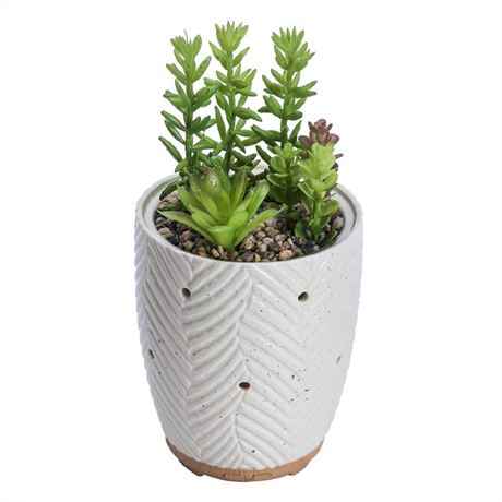 Artificial Succulent Plants Potted Diffusers for Essential Oils with 7 Colors