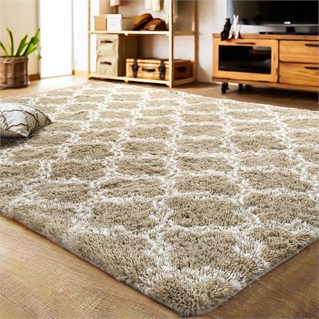 Luxury Shag Area Rug Mordern Indoor Plush Fluffy Rugs, Extra Soft and Comfy