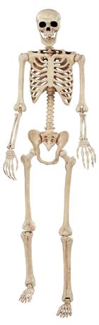 Crazy Bonez Pose-N-Stay Life Size 6 FT Skeleton with Realistic Posable and