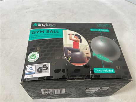 Kaytan sports gym ball 65cm/110kg