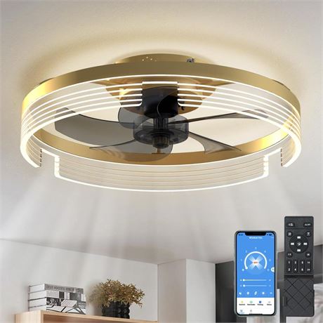 HSC Low Profile Ceiling Fan with Light: 20 Inch Modern Flush Mount Ceiling Fans