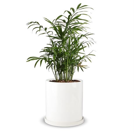 Mozing Ceramic Plant Pots Indoor - Garden Planter Pot for Planting - Modern