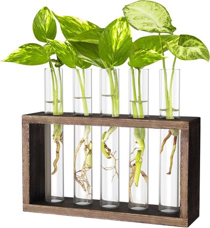 Ivolador Wall Mounted Hanging Plants Test Tube Flower Bud Tabletop Glass