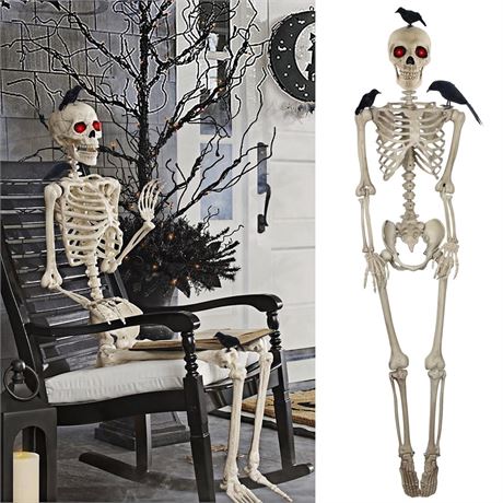 DR.DUDU 5ft Skeleton Life Size Halloween Decor with 3 Pcs Crows, Large Posable